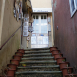 DSC00600-w740_h1105